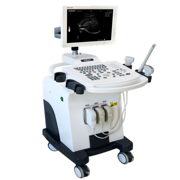 DW-370 china máquina de ultra-som do trole médico ultrasound preço scanner